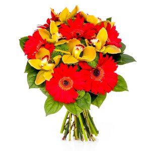 Red Gerberas and Orchids