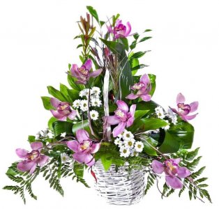 Orchids and Chrysanths Basket
