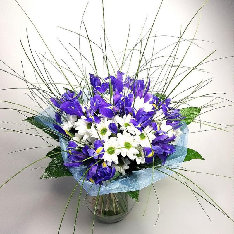 Dárková kytice z chrysanthém a irisů Amadea