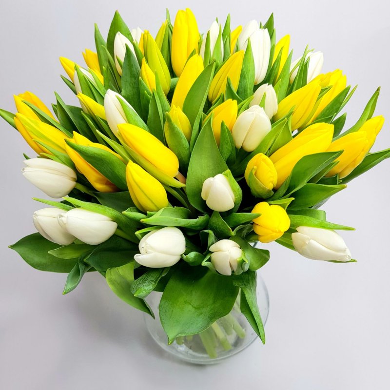 Kytice z tulipánů Stanislava
